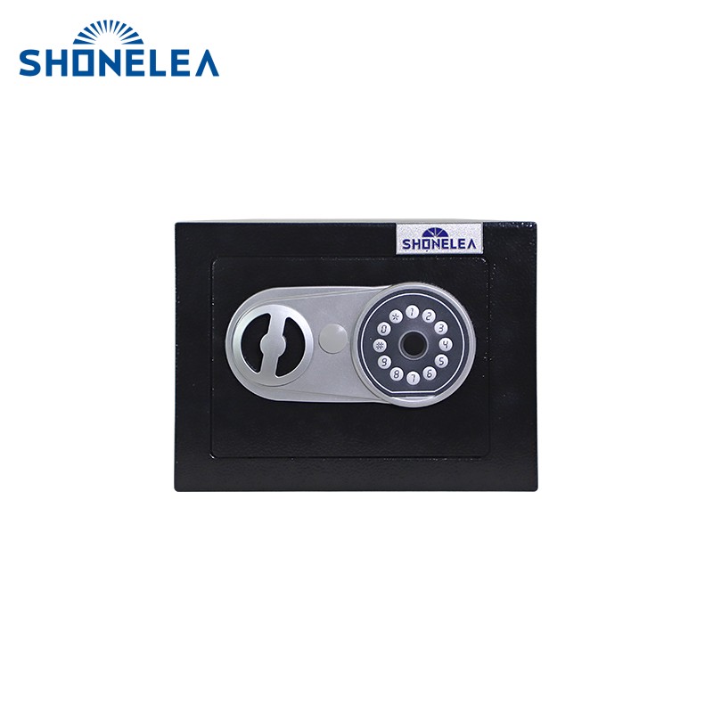 Home Biometric Safes