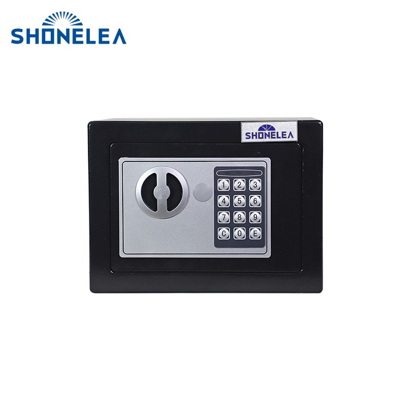 Home Electronic Safes