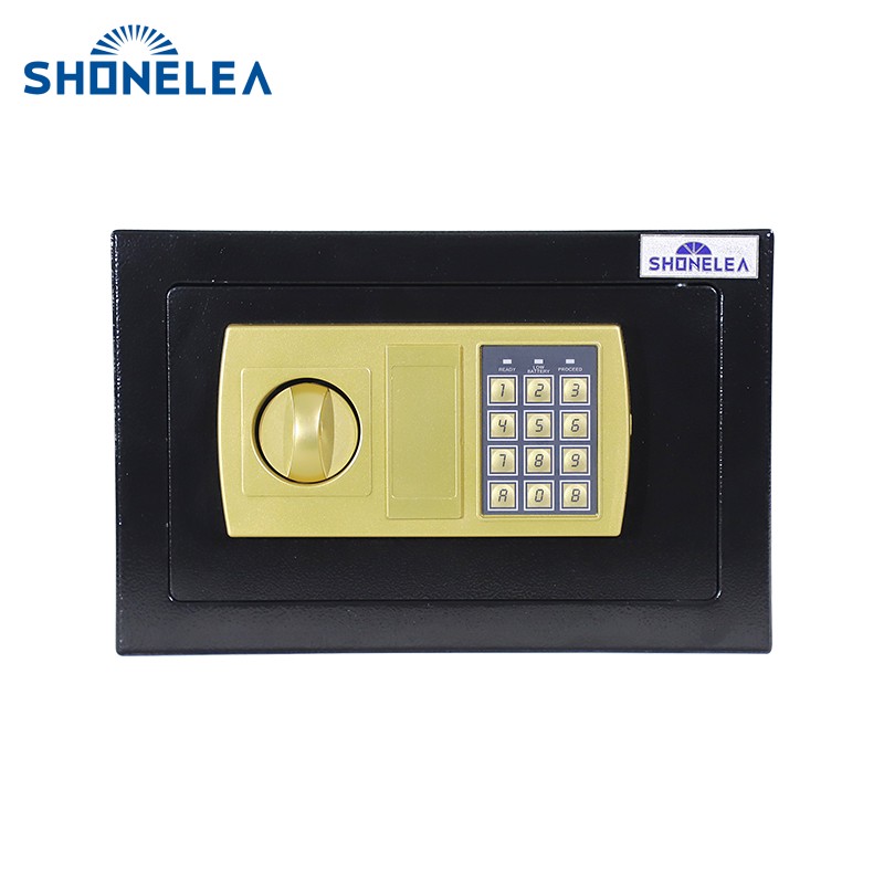 Home Electronic Safes