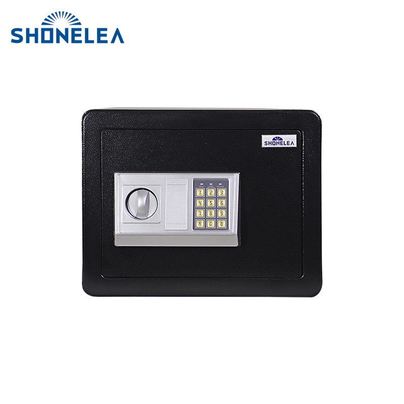 Home Electronic Safes