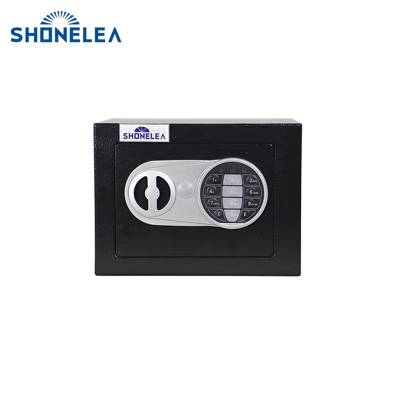 Home Electronic Safes