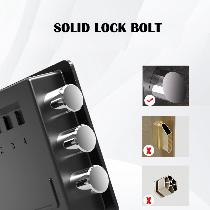 Home Electronic Safes