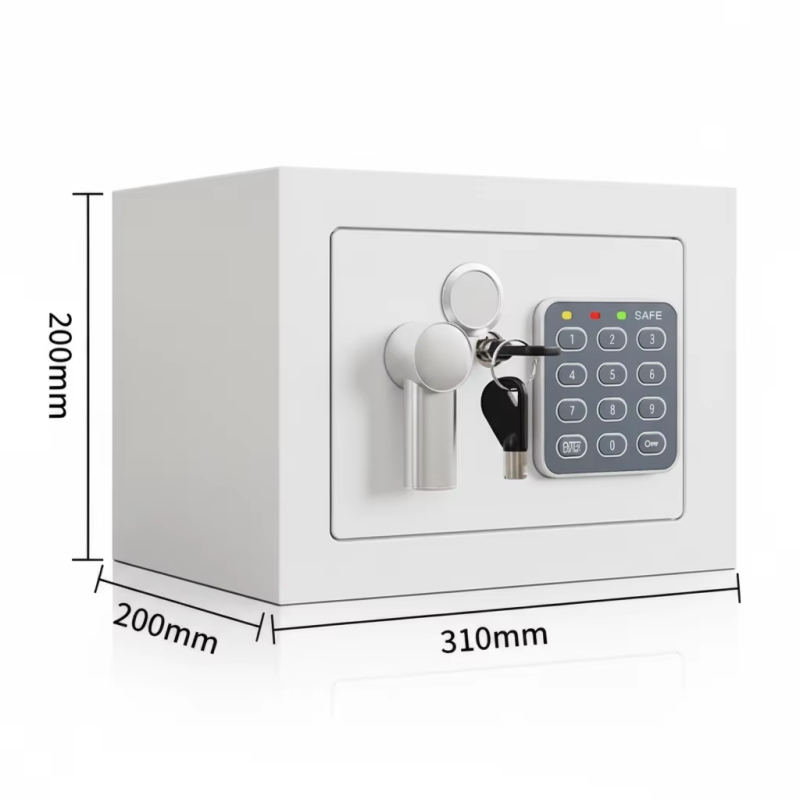 Home Electronic Safes