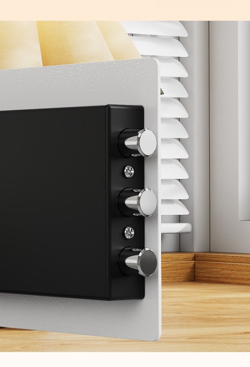 Home Electronic Safes
