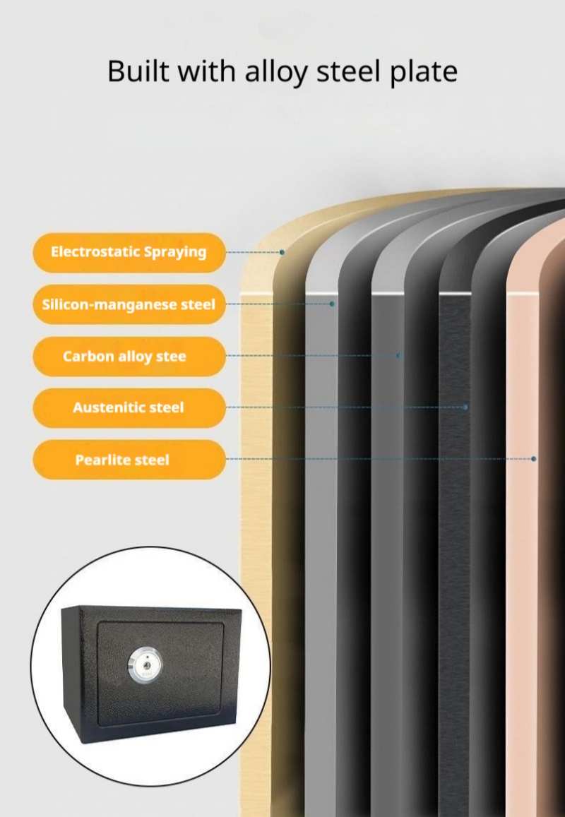 Home Electronic Safes