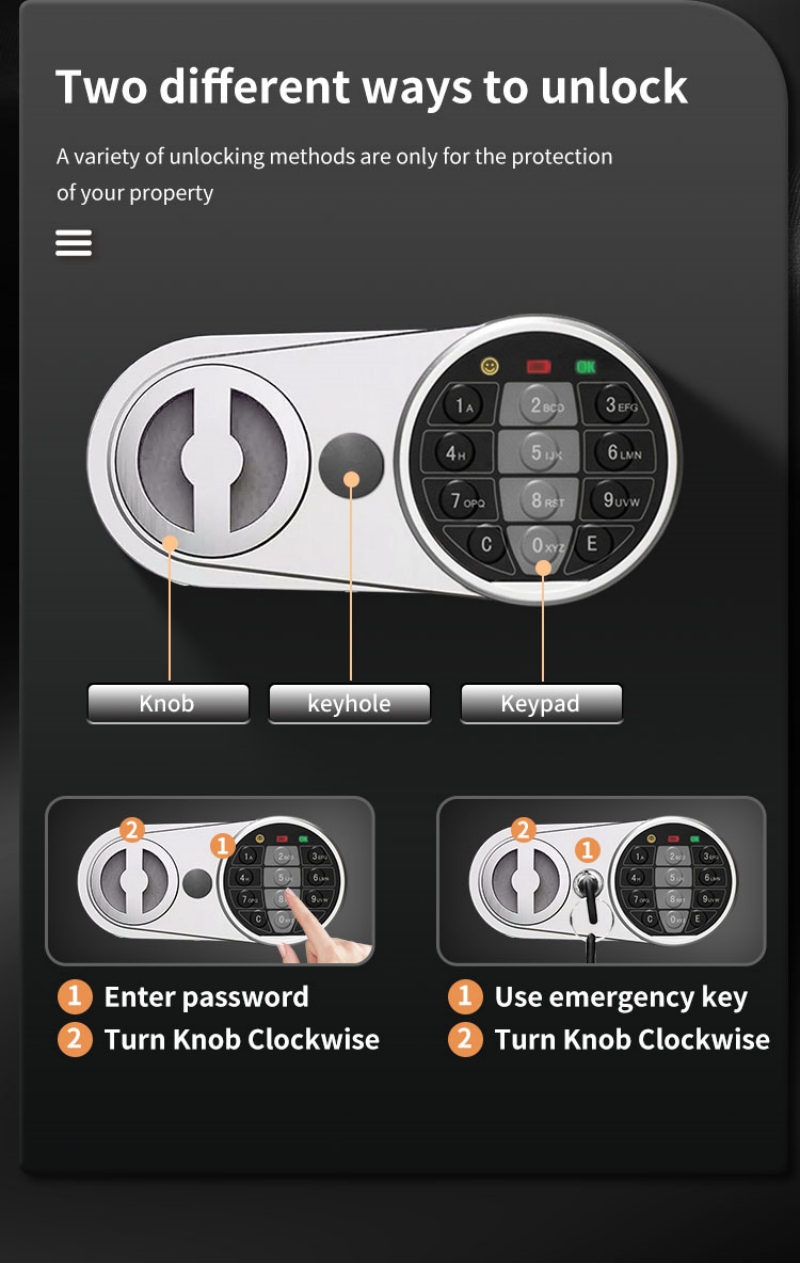 Home Electronic Safes