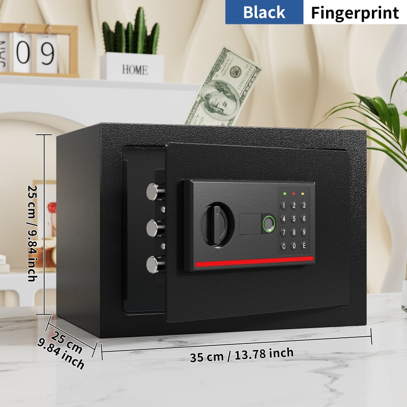 Home Biometric Safes