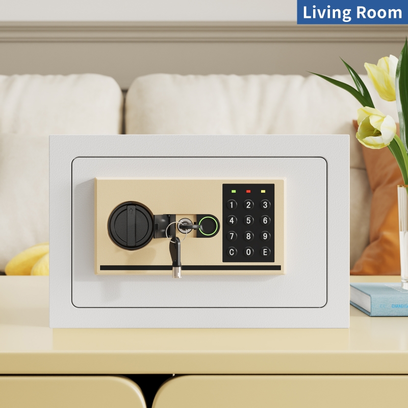 Home Biometric Safes