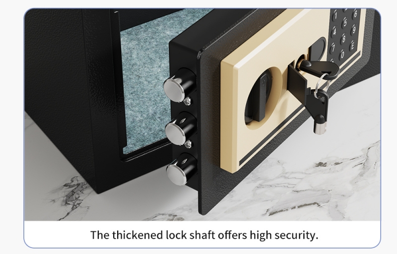Home Biometric Safes