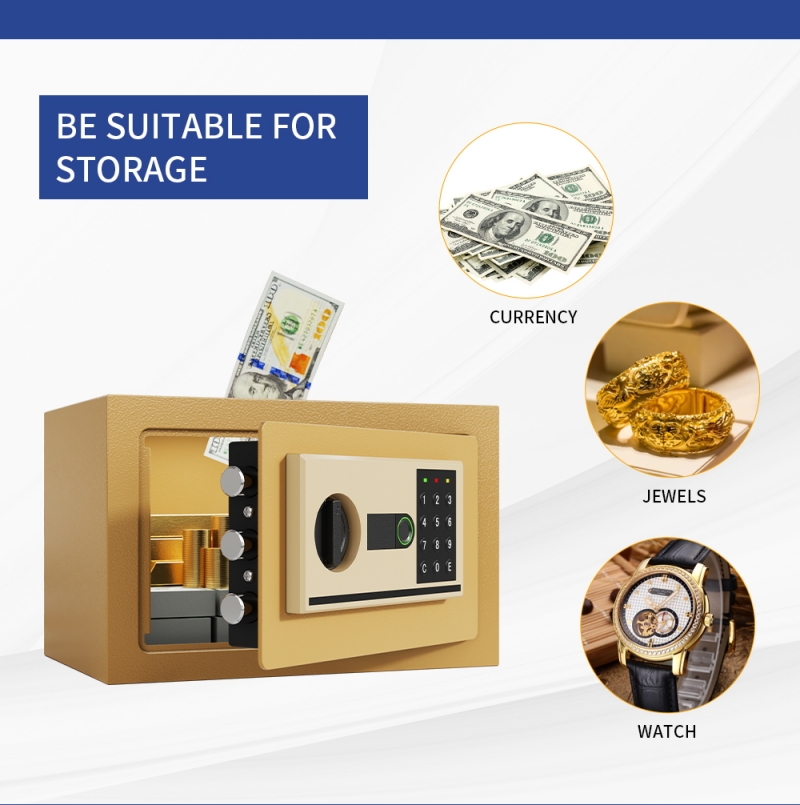 Home Biometric Safes