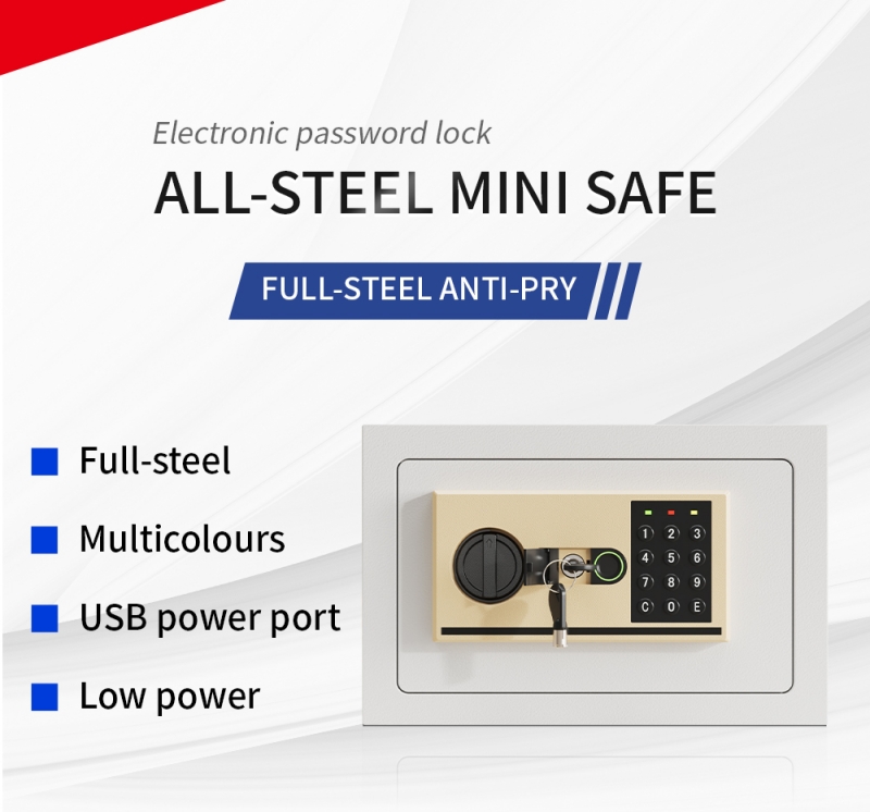 Home Biometric Safes